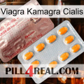 Viagra Kamagra Cialis new13